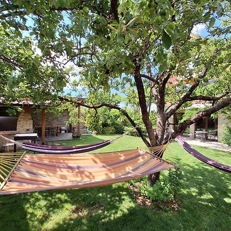 Guest House Vessyta Sapareva Banya Exterior photo