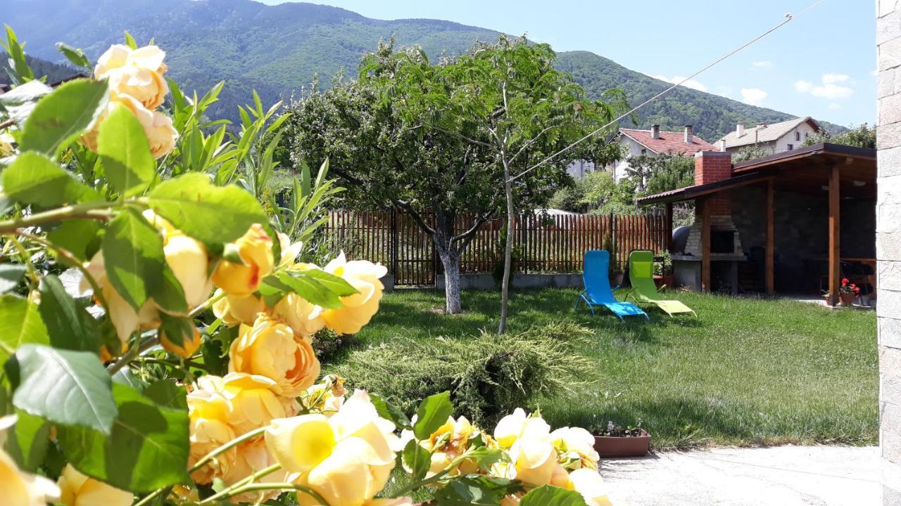 Guest House Vessyta Sapareva Banya Exterior photo