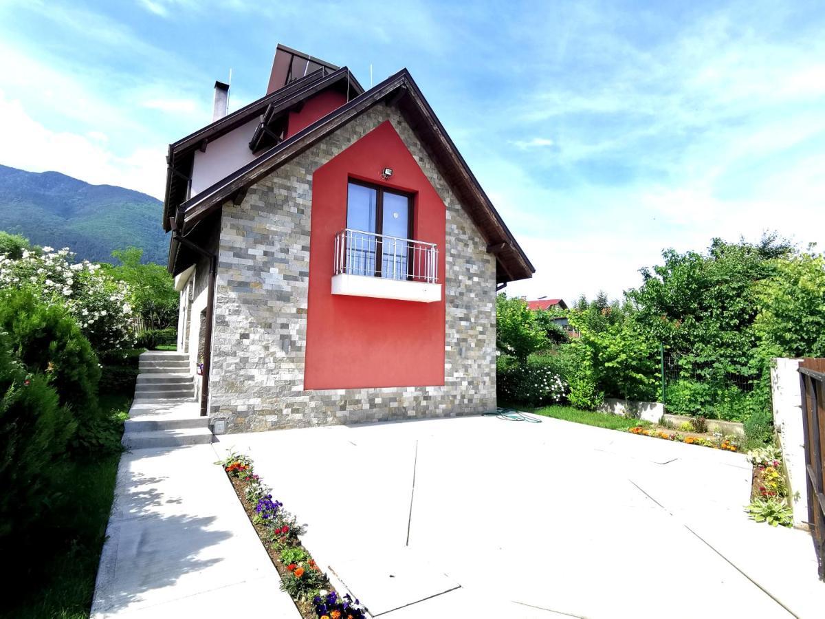 Guest House Vessyta Sapareva Banya Exterior photo